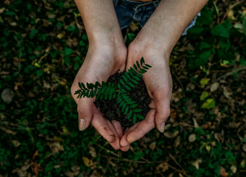 Concevoir et piloter la demarche de transition ecologique et solidiaire de son evenement