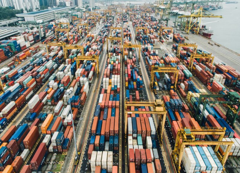 Management import export